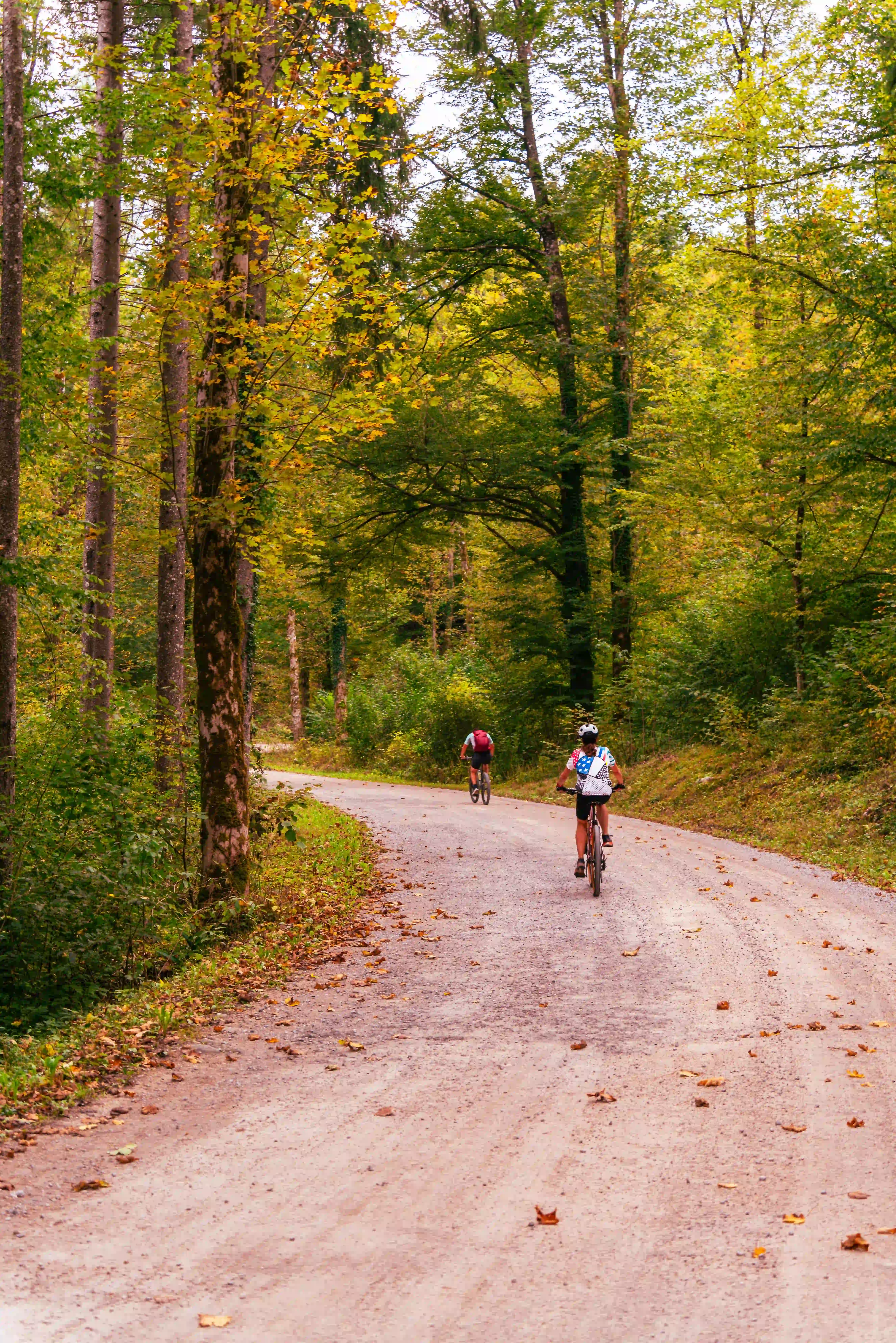 A thrilling moment captured as a raft plunges down a steep drop, surrounded by cascading whitewater.